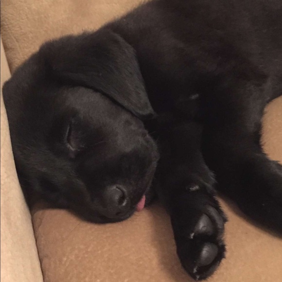 Meet your Posher, Matthew - Picture 1 of 1